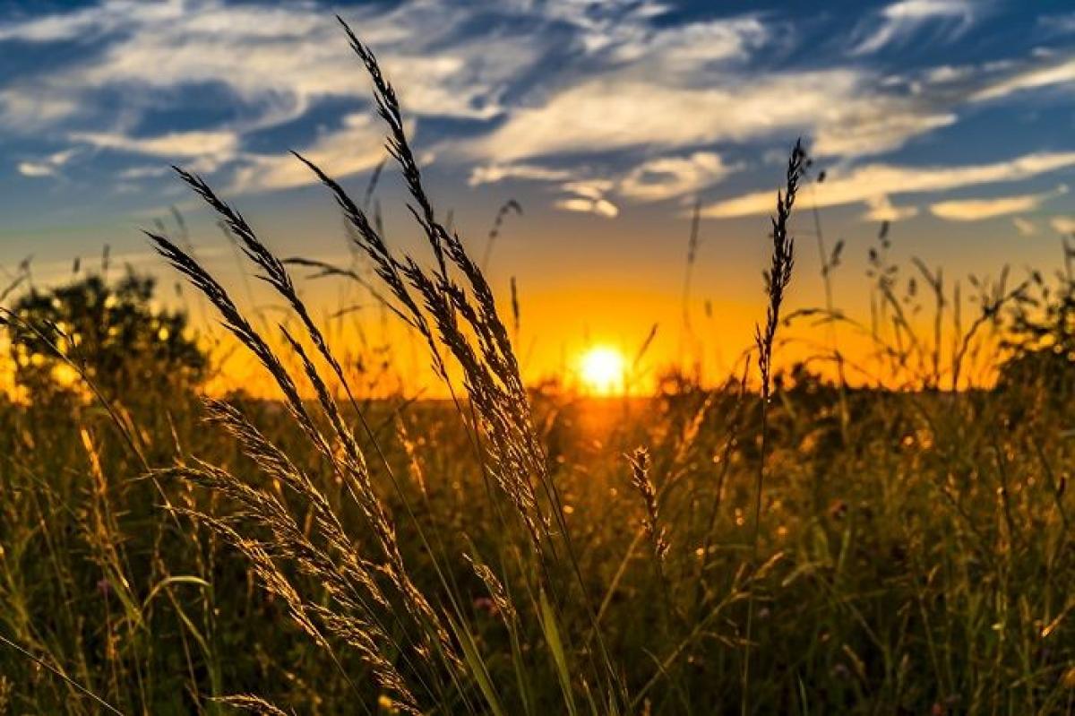 Utjecaj “sunčeve svjetlosti” na raspoloženje i produktivnost